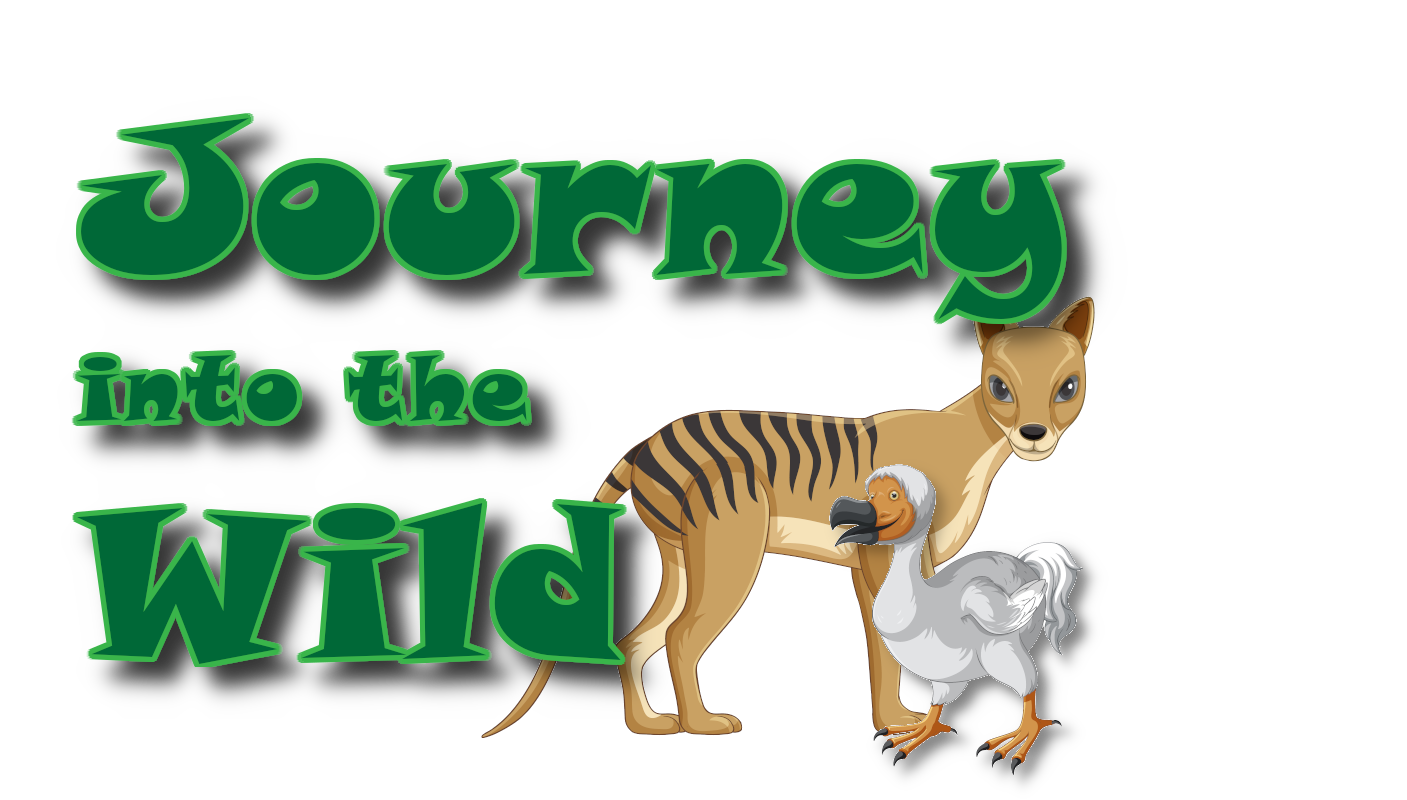 Journey into the Wild Lesson List