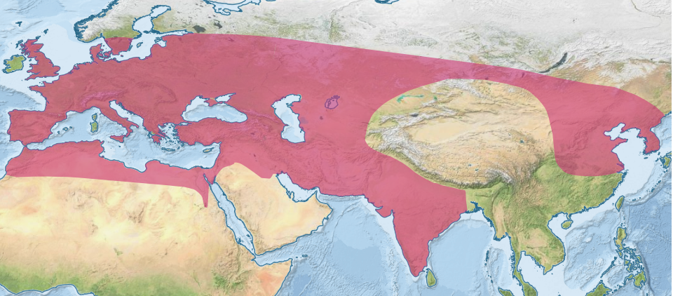 Locations of Aurochs