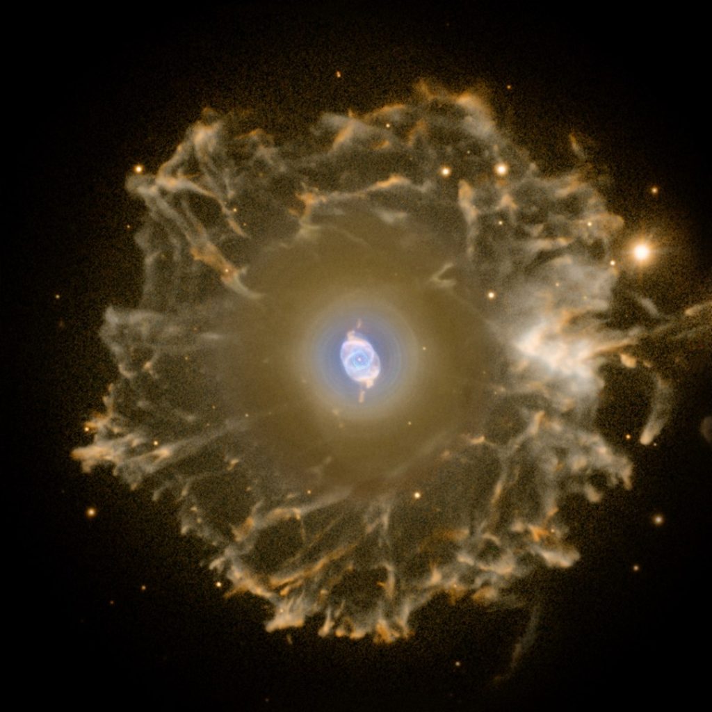 The Halo of the Cat's Eye Nebula