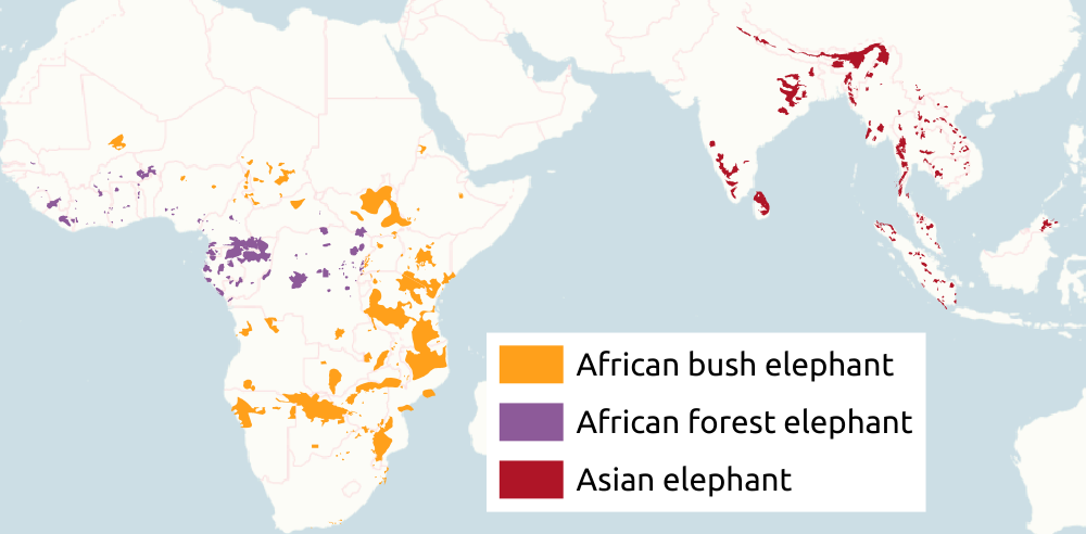 Locations of Elephants