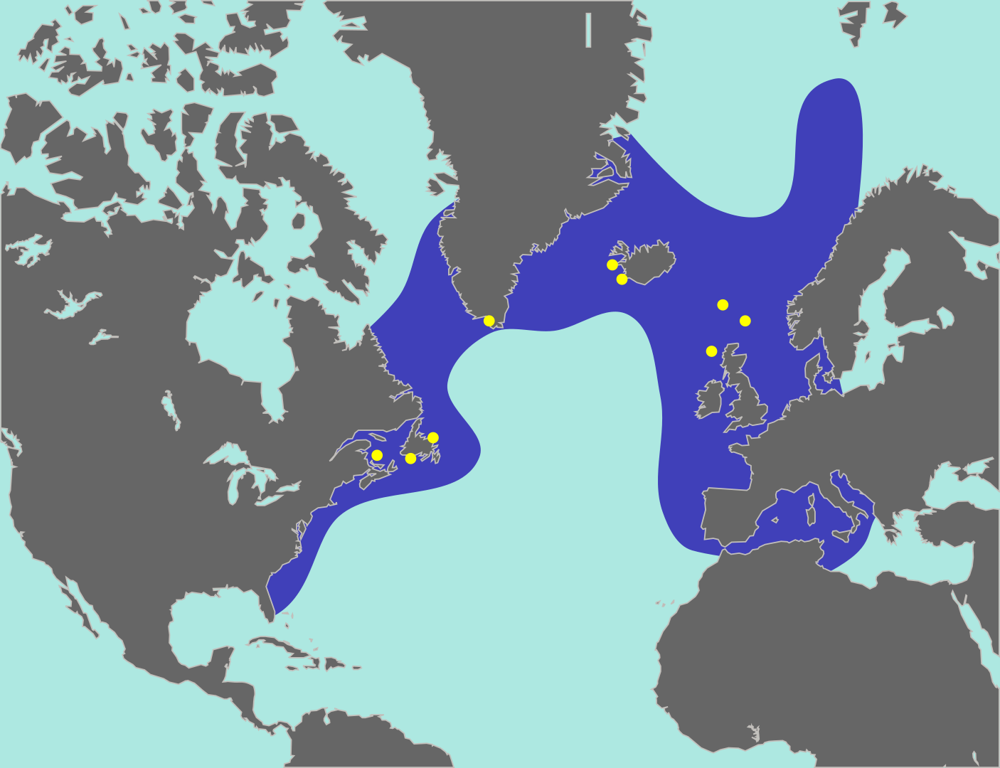 Locations of Great Auks
