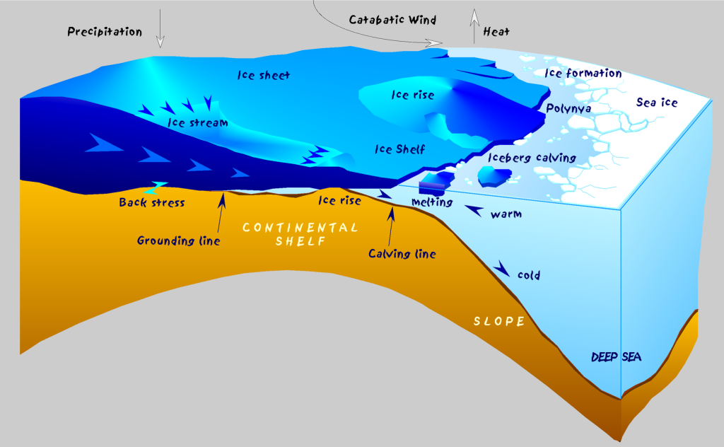 A diagram of an Ice Shelf