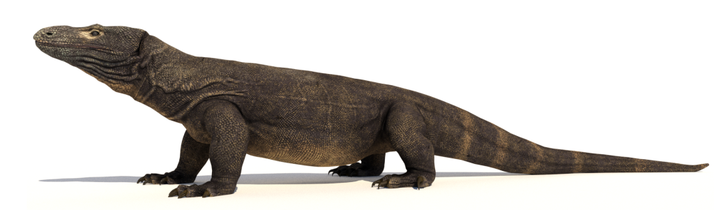 Megalania