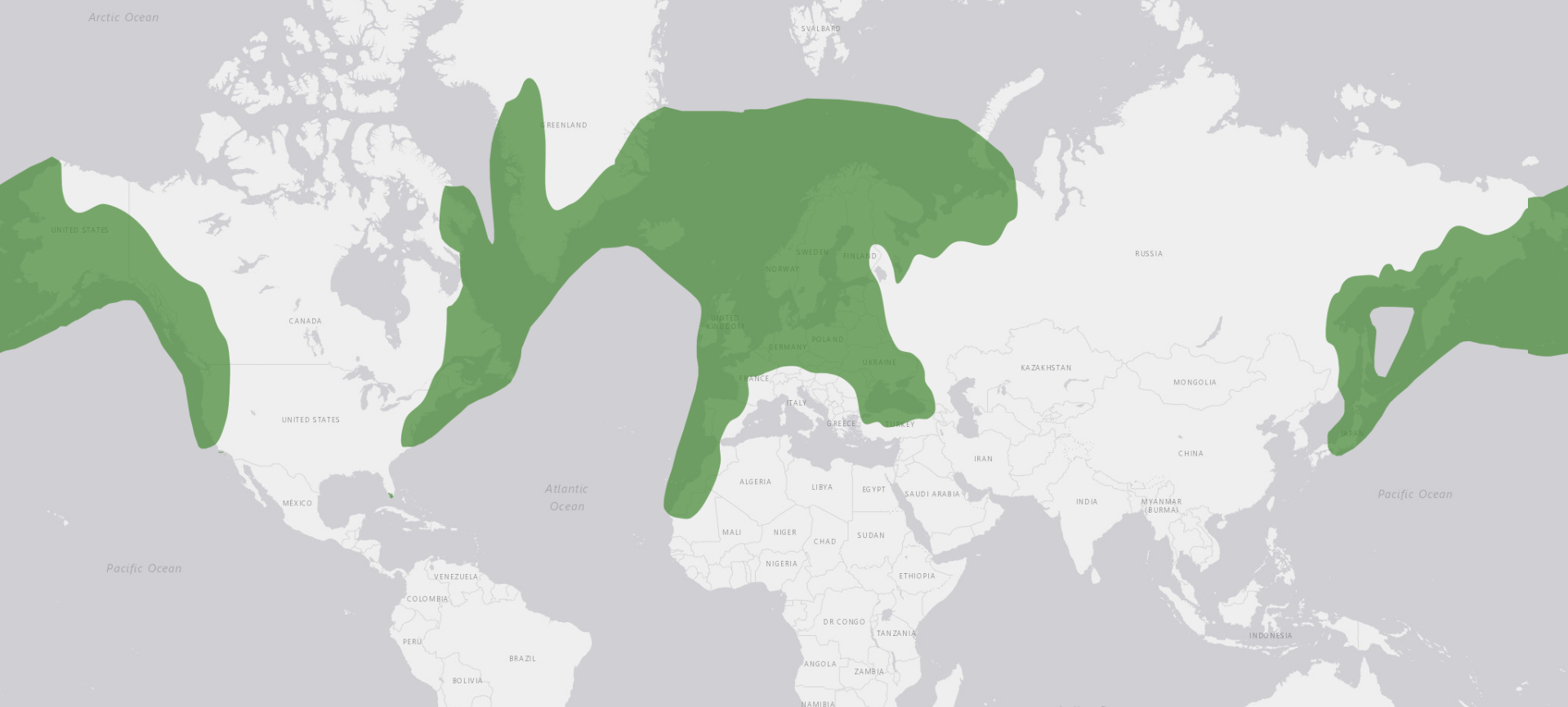 Locations of Porpoise
