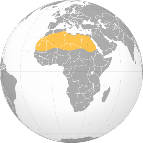 Map of Sahara Desert