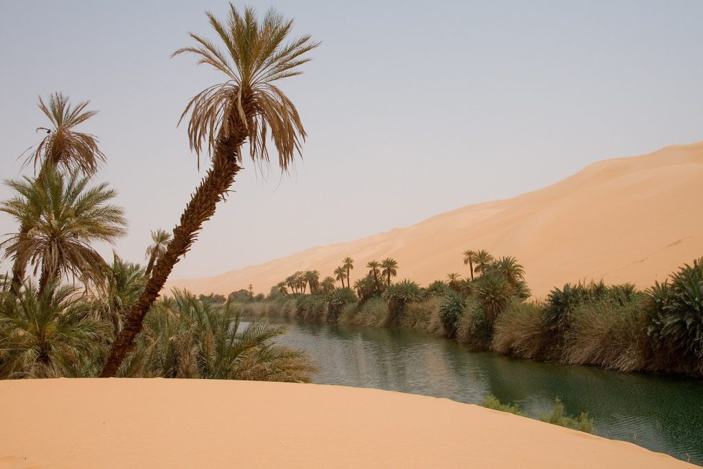 An oasis in the Sahara Desert