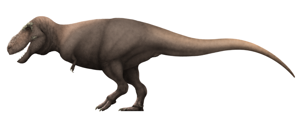 Tarbosaurus