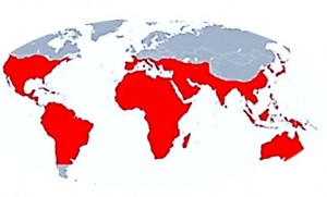 Locations of Termites