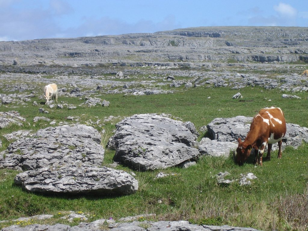The Burren