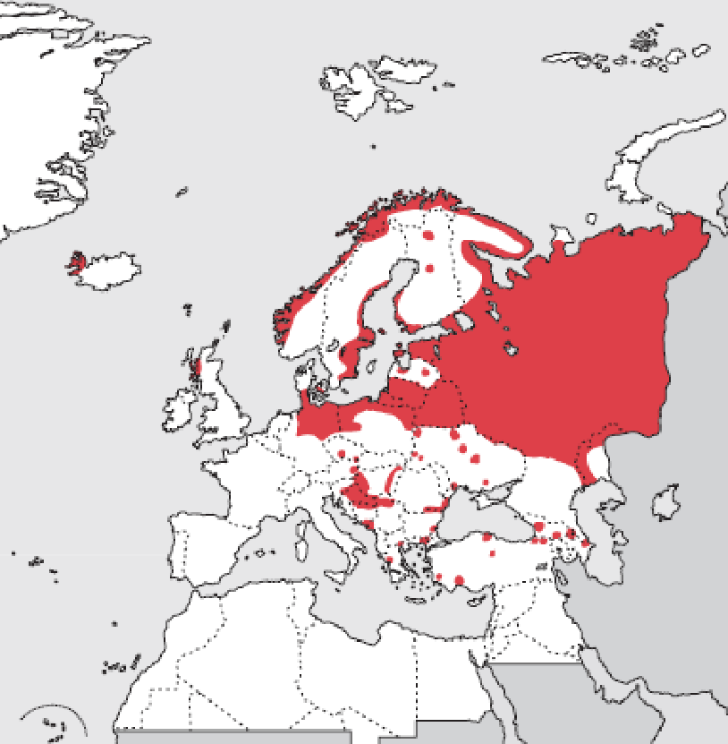 Locations of White-tailed Sea Eagle