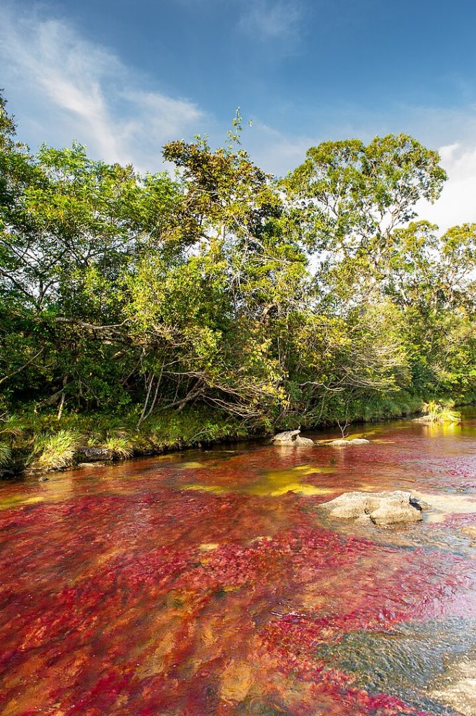 Caño Cristales River