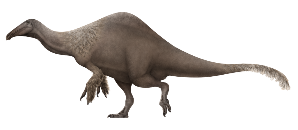 Deinocheirus