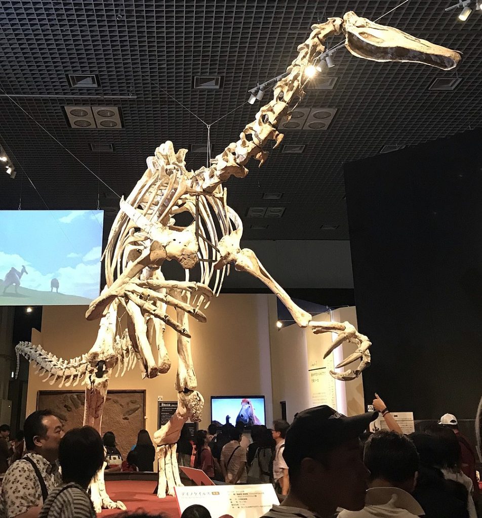 Skeleton of Deinocheirus