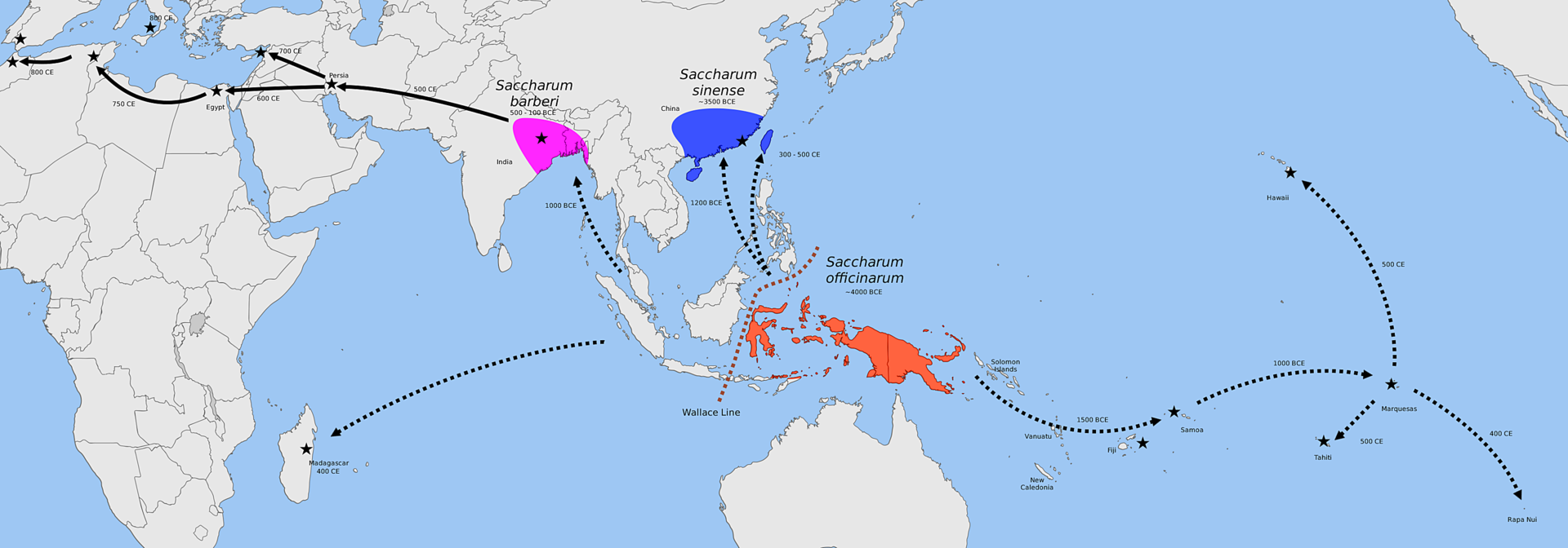 Locations of Sugar over time