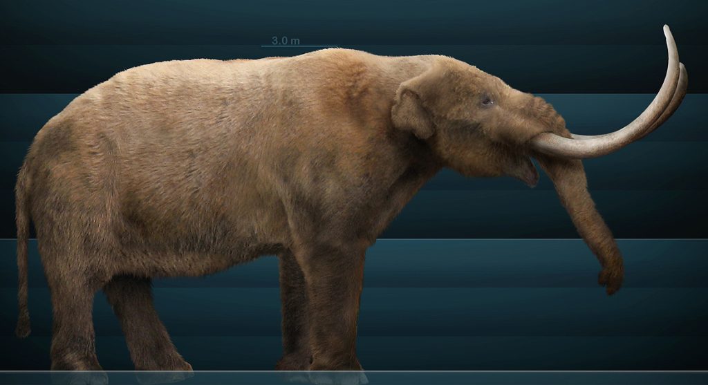 Mastodon