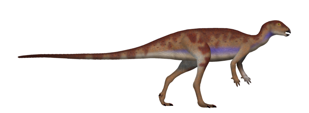 Hypsilophodon