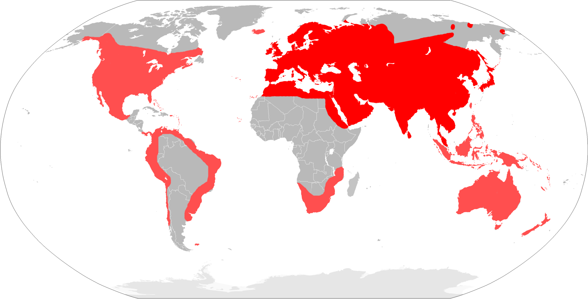 Locations of House Mice