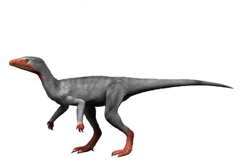 Eoraptor