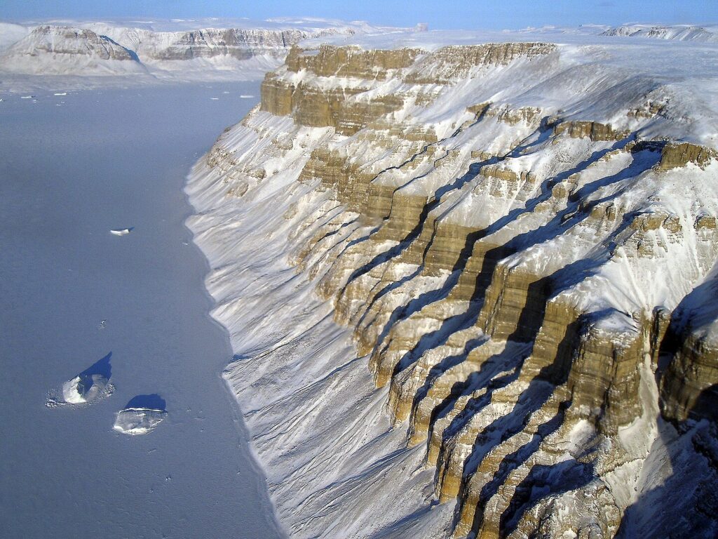 Greenland Cliffs