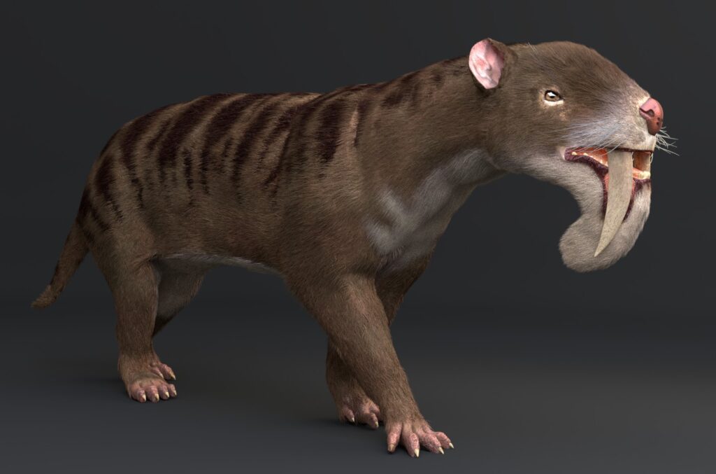 Thylacosmilus