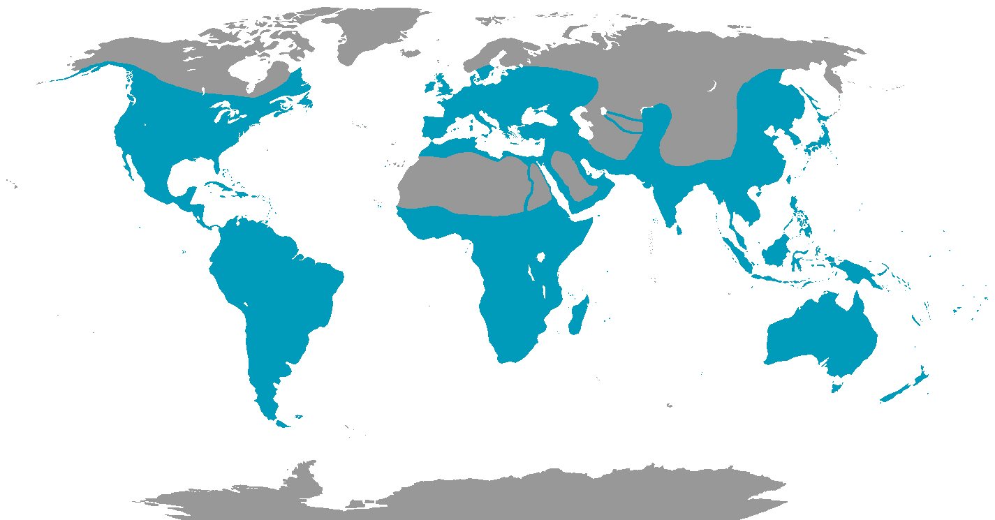 Locations of Kingfishers