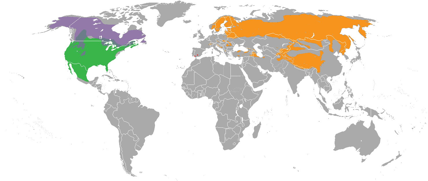 Locations of Lynxes