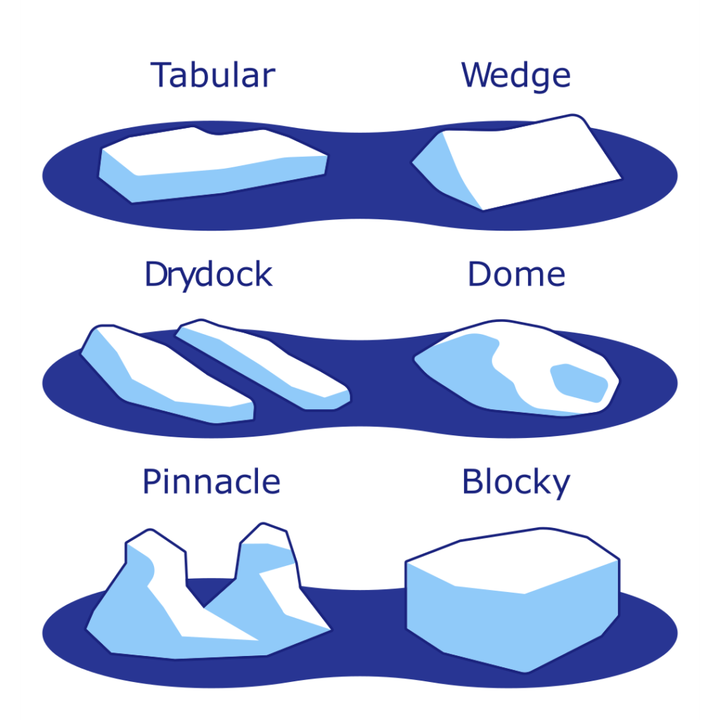 Shapes of Icebergs