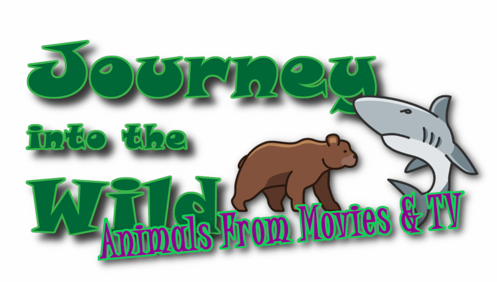 Journey into the Wild - Animals From the Movies & TV