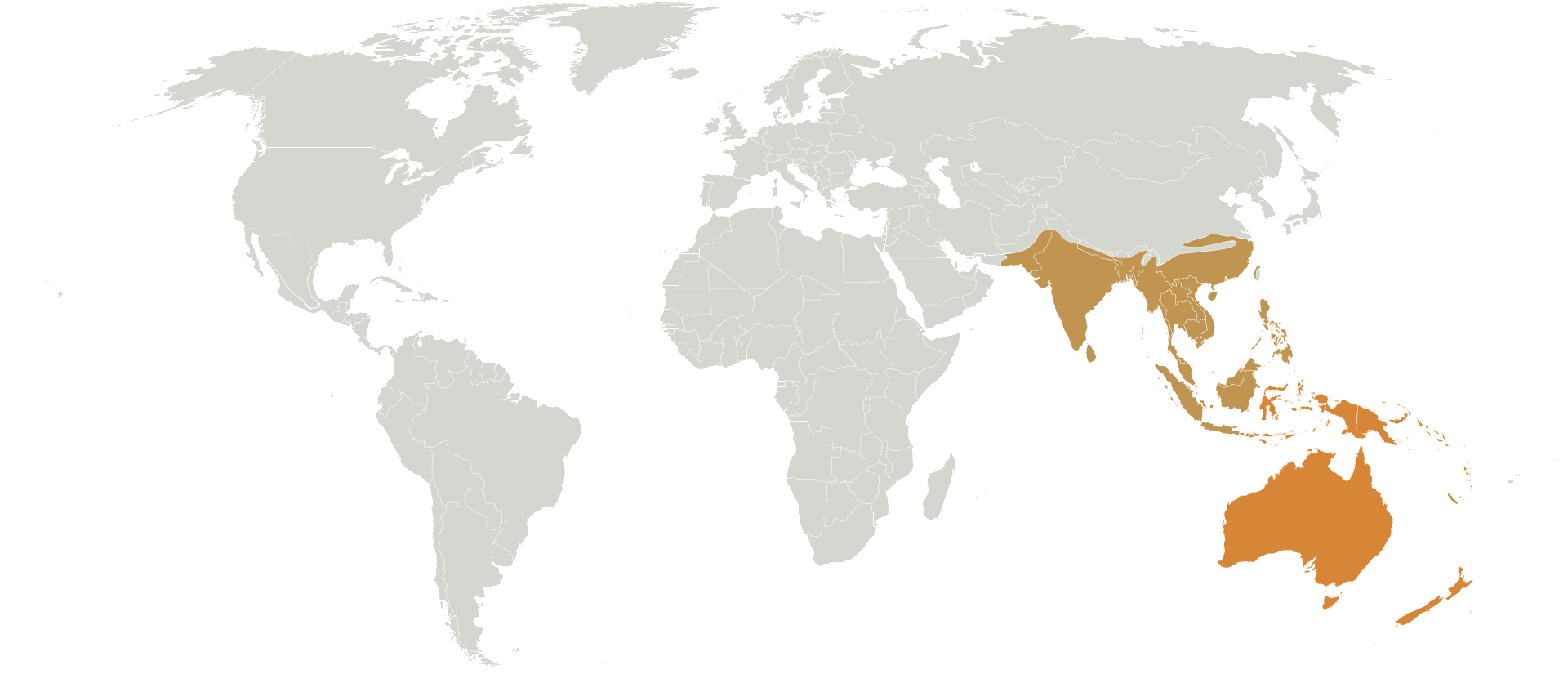 Locations of Bananas