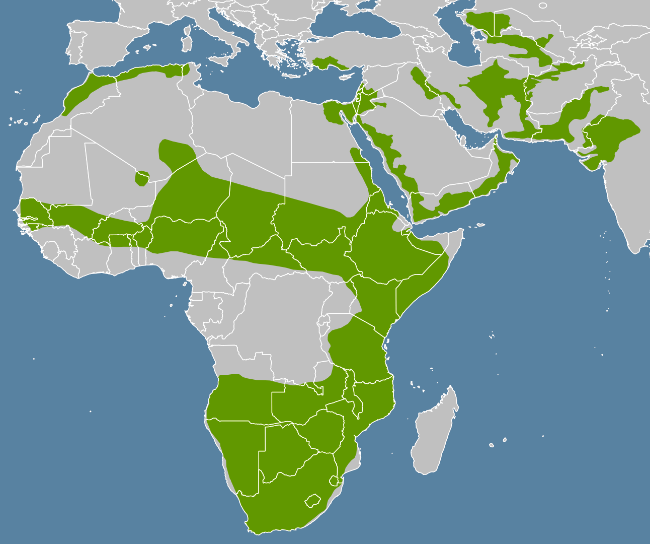 Locations of Caracals
