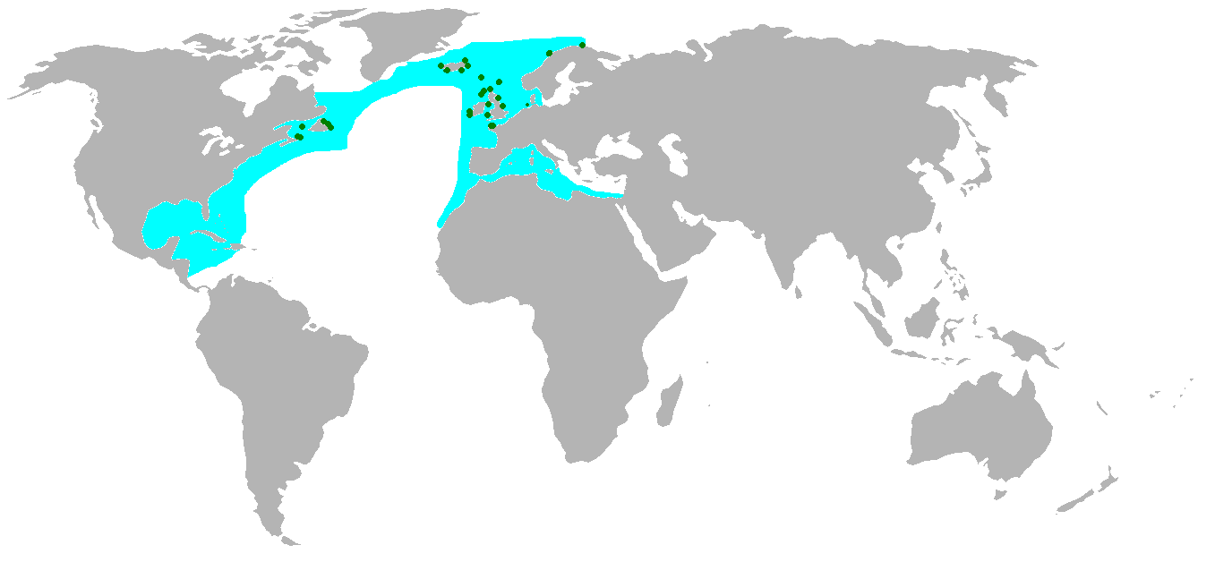 Locations of Northern Gannet