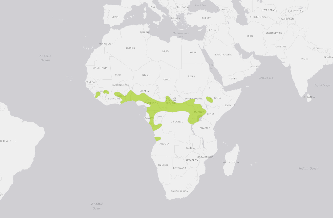 Locations of Red-Headed Lovebirds