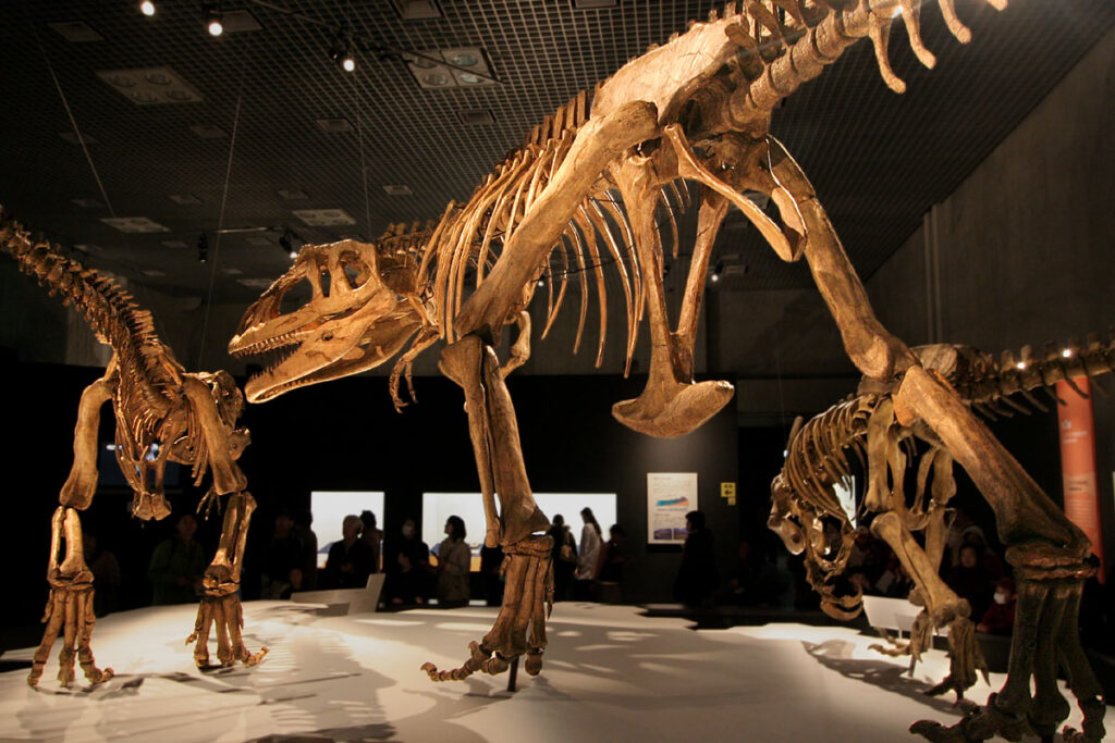 Skeleton of Mapusaurus