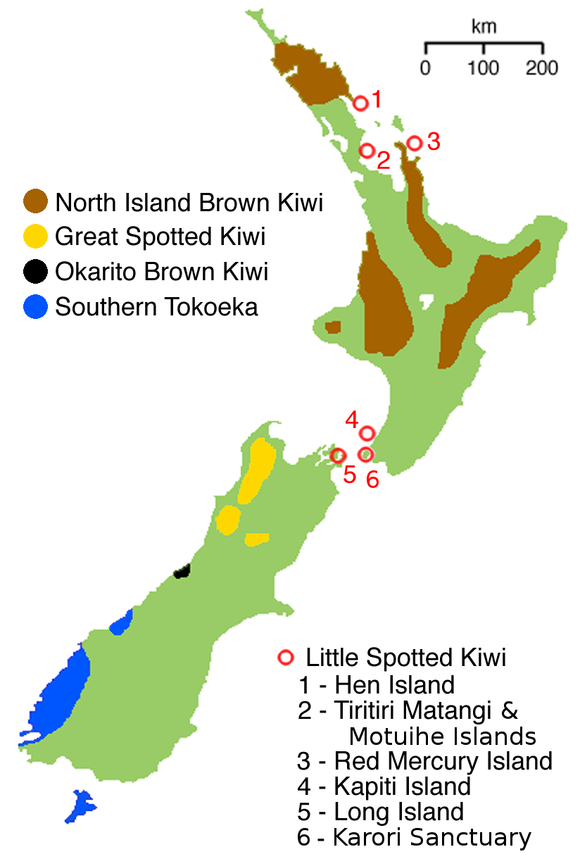 Map of Kiwi Species