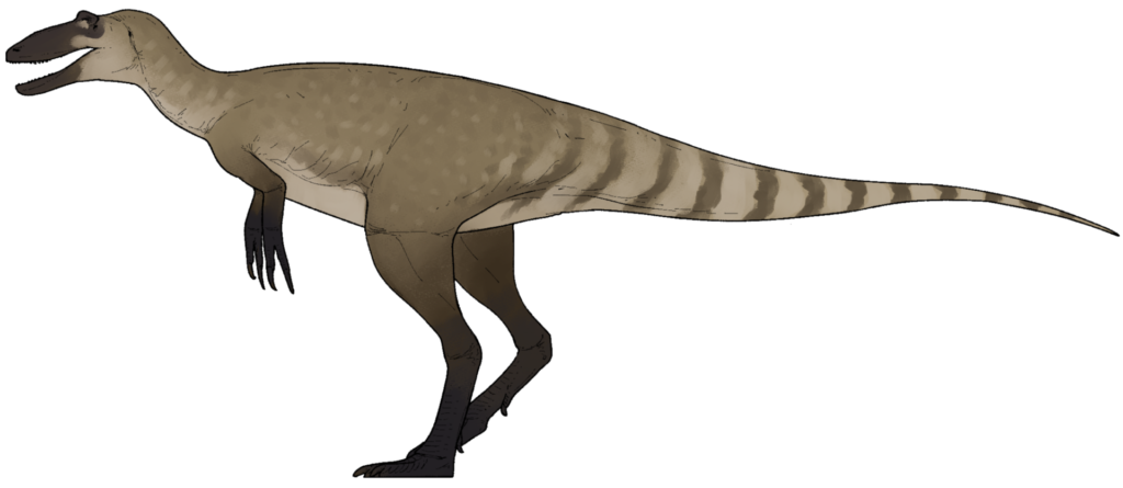 Nanotyrannus