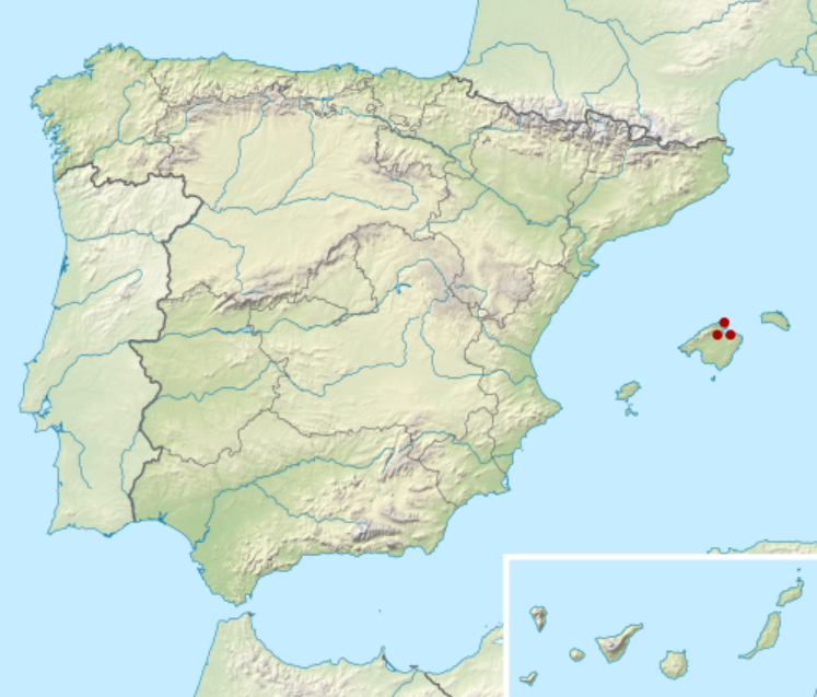 Location of Pollentia