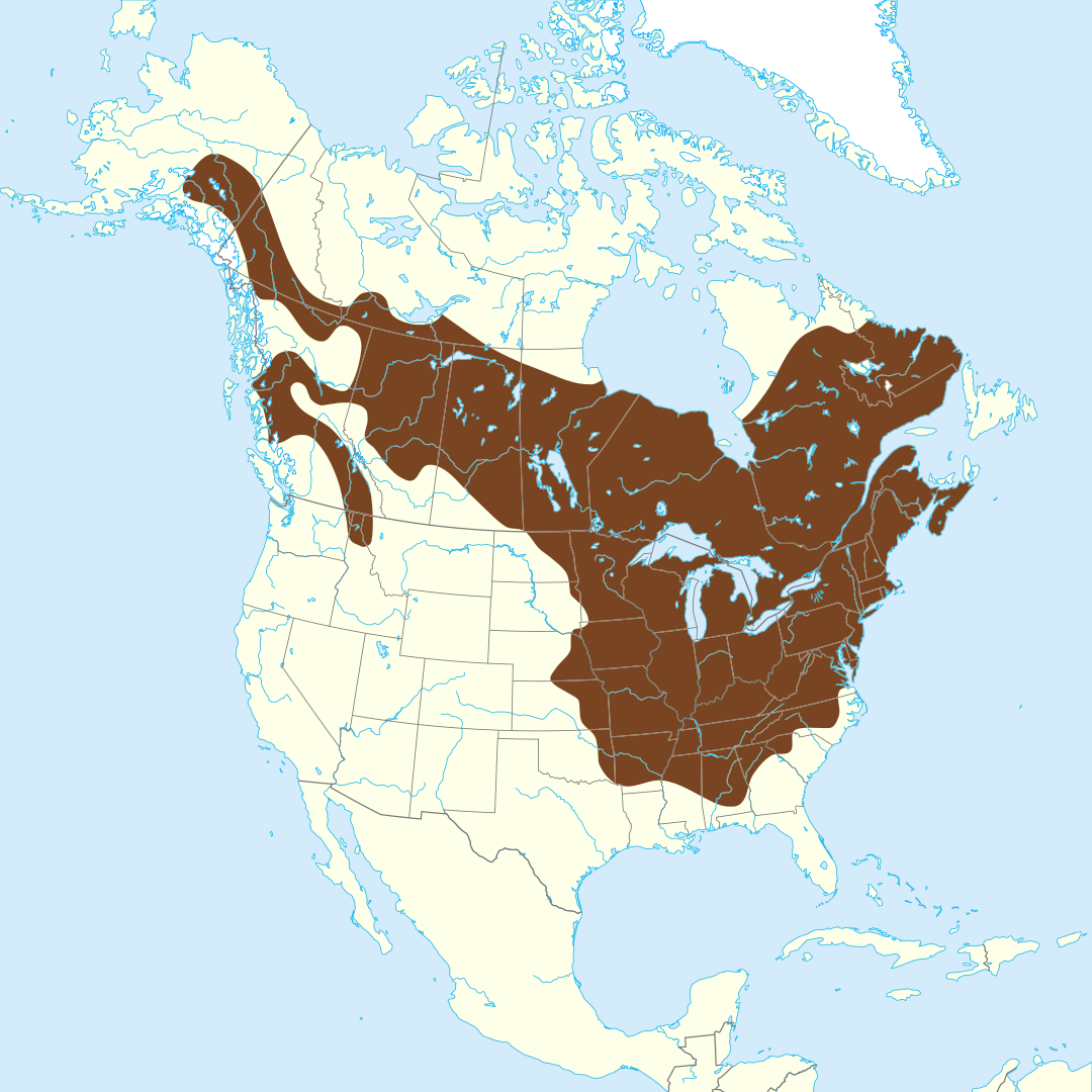 Locations of Groundhogs