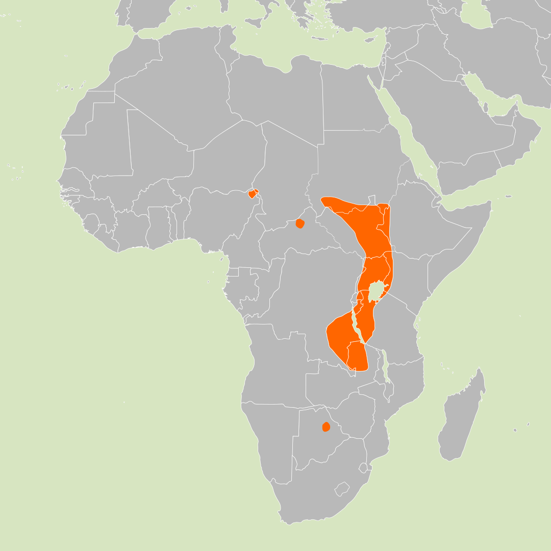 Locations of Shoebills